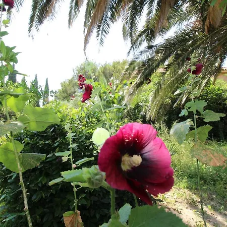 Appartamento Centre Free Parking 1&2 Floor