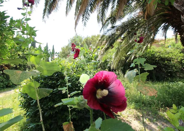 Appartamento Centre Free Parking 1&2 Floor